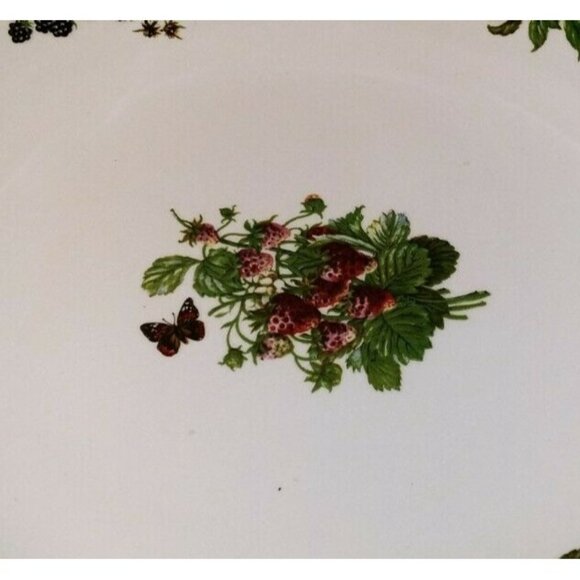 Portmeirion Stoke-On-Trent Fruit Pattern Ceramic Bowl 10 1/4" Wide Fruit Design - Picture 5 of 7